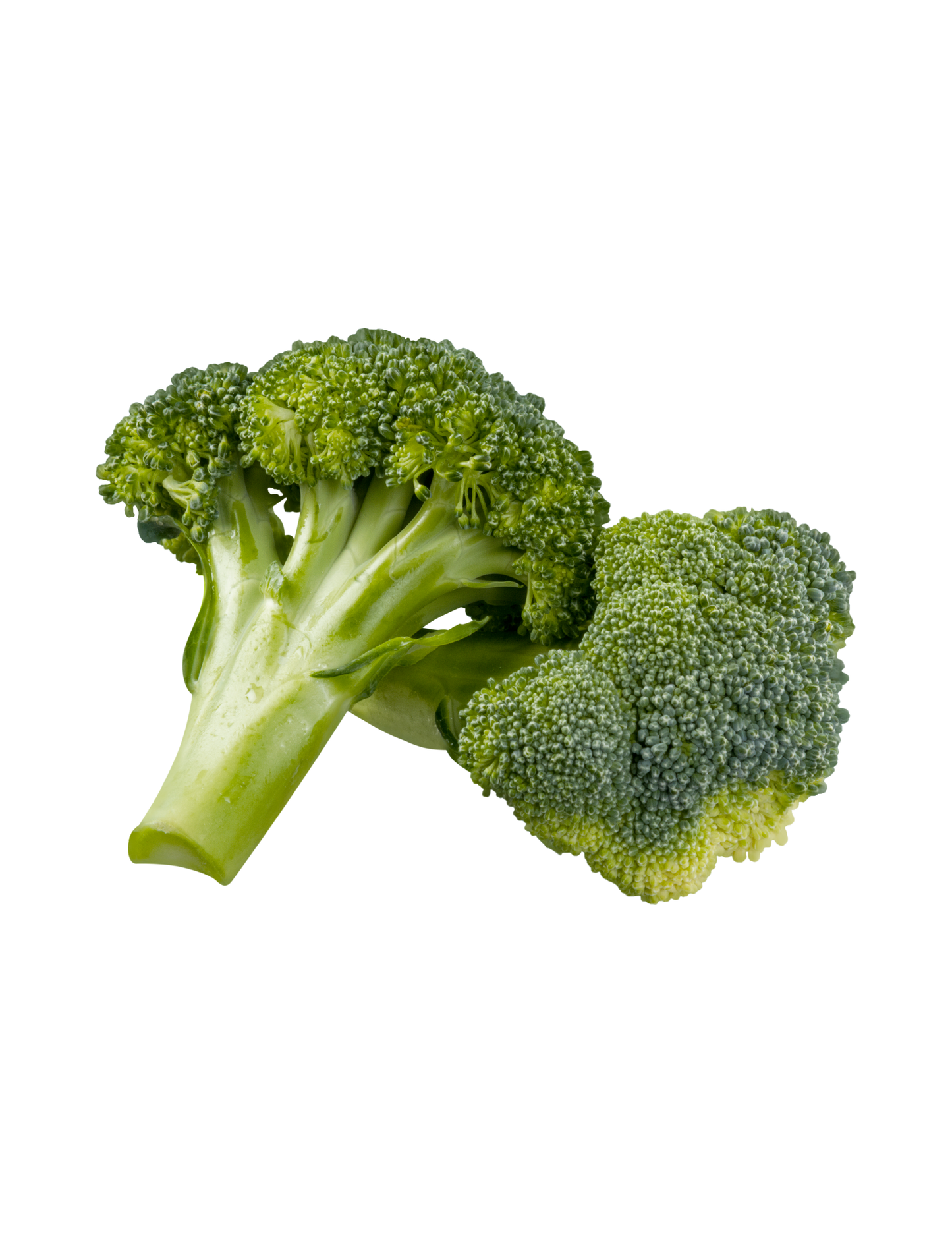 Brocoli pz