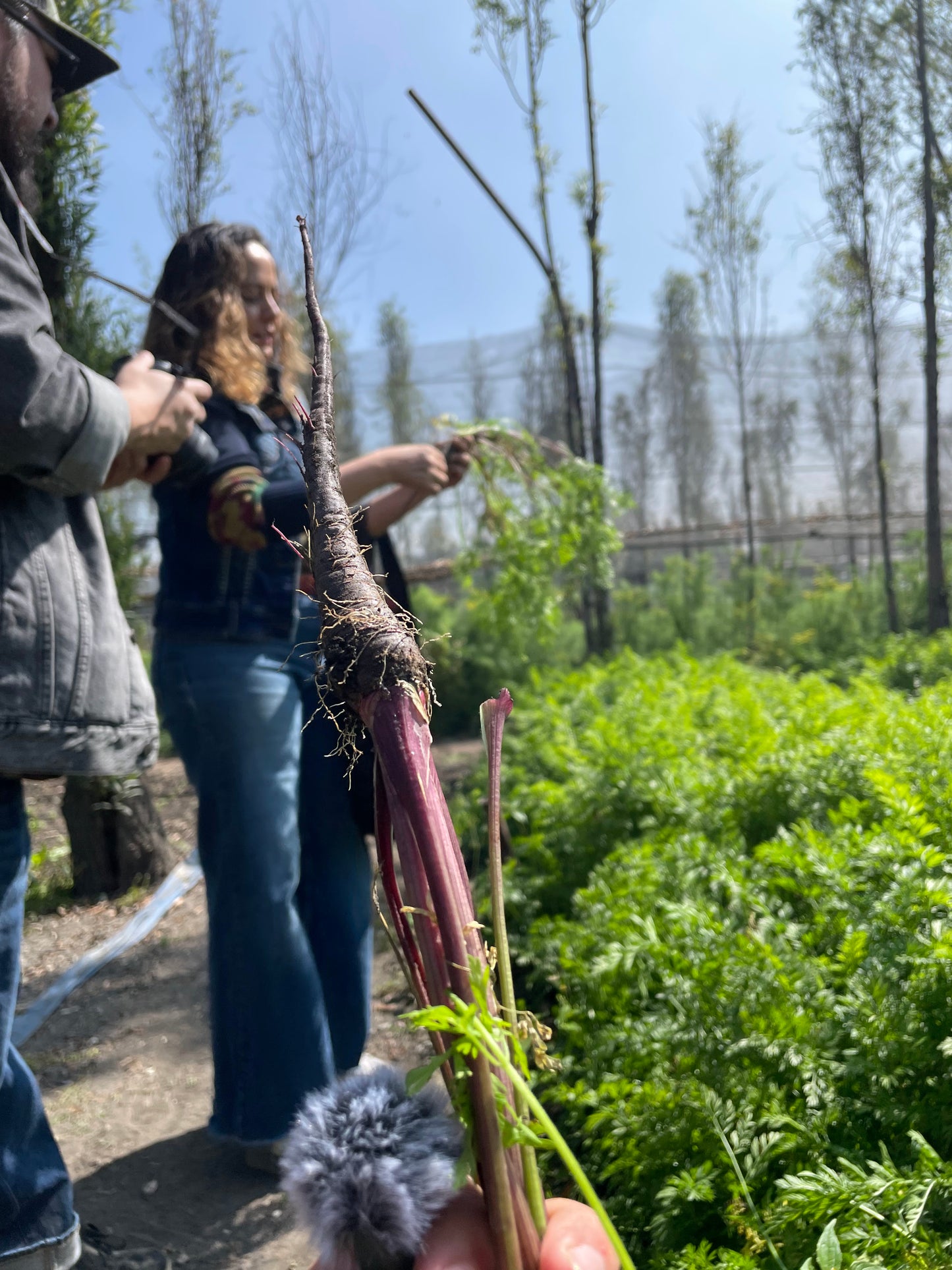 Visita a la Chinampa