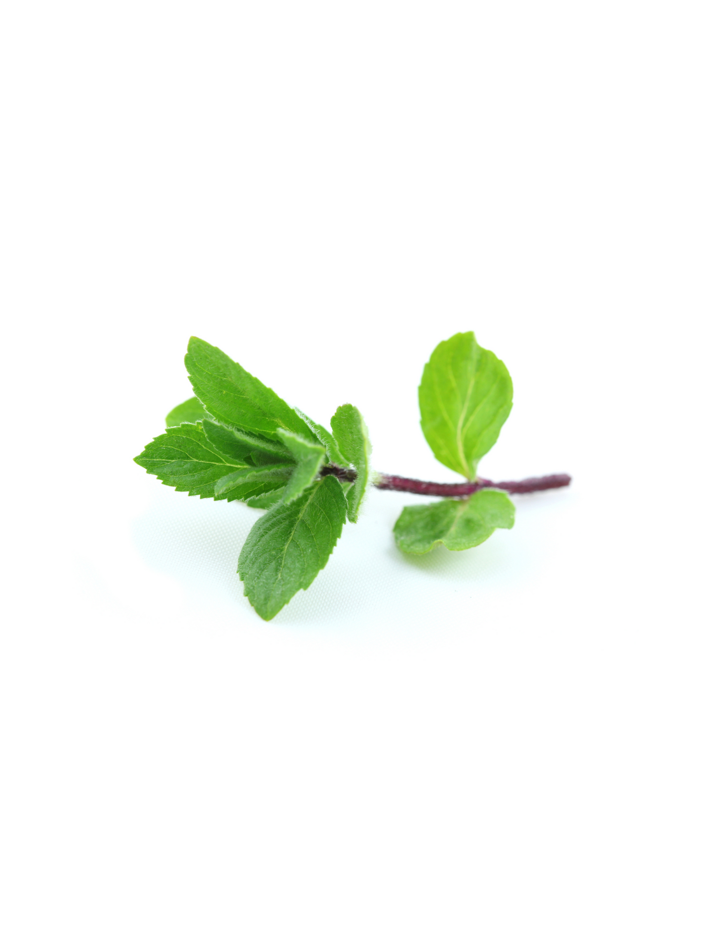 Menta mnj 150gr