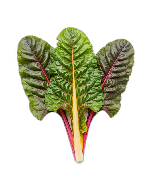 Acelga Arcoíris mnj