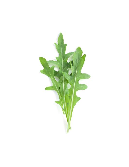 Arugula  mnj