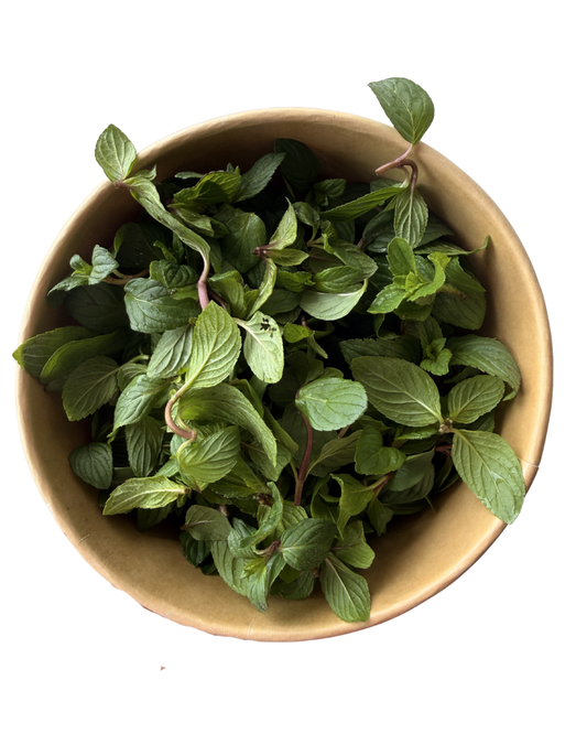 Brotes de menta
