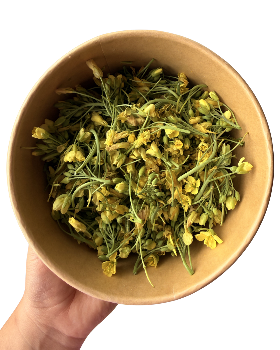 Flores de arugula