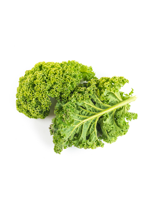 Lechuga kale mnj