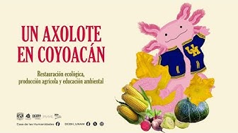 Cargar video: &quot;Un axolote en Coyoacan&quot; es resultado del interes de la Casa de las Humanides, por la restauración ecológica, la producción agrícola y la educación ambiental